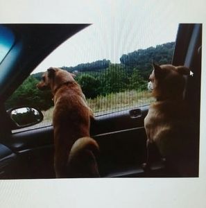 Meet your Posher, Anita